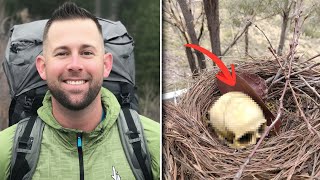 Excursionista desaparece nas Montanhas Rochosas, 5 anos depois, crânio é achado em ninho de pássaro