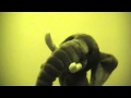 Puppet Sized Elephant VEDA 8 1
