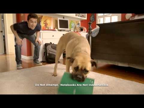 Five Star Canada Cinco the Dog Commercial