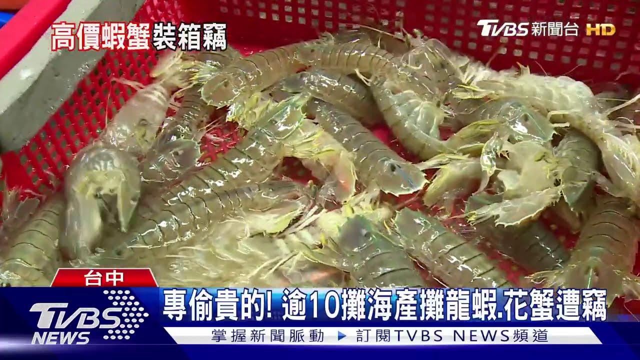 專偷貴的! 逾10攤海產攤龍蝦、花蟹遭竊