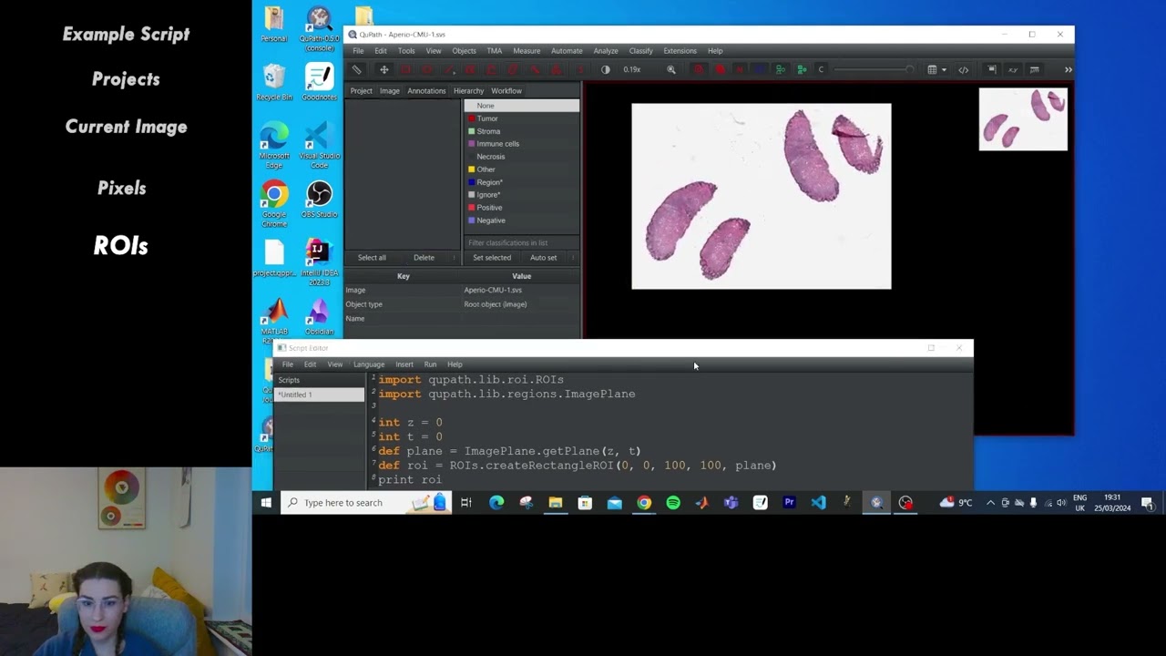 Intro to scripting in QuPath