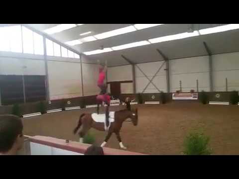 Voltigieren Wildenburg - Doppelvoltigieren (Cindy Lu Theis & Lara Gerstenschläger) - LM 2017