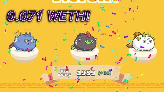 Shrimpinator x Beefinator 0.071 WETH 1800 to 2k MMR SEASON 20!