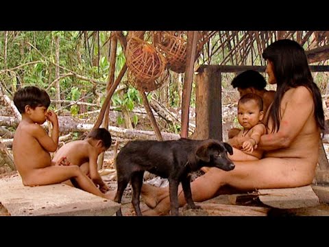 The Female Sex: Women and Females (Part 1) - Planet Doc