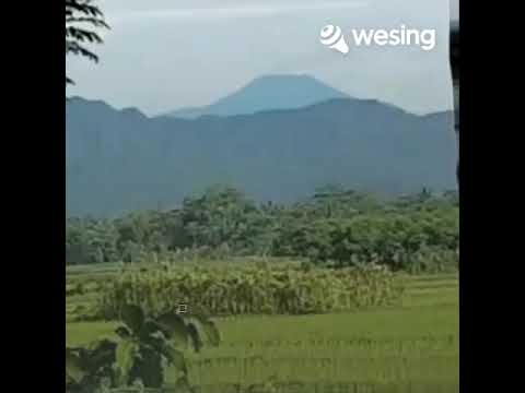 Gambuh Royal - duet .