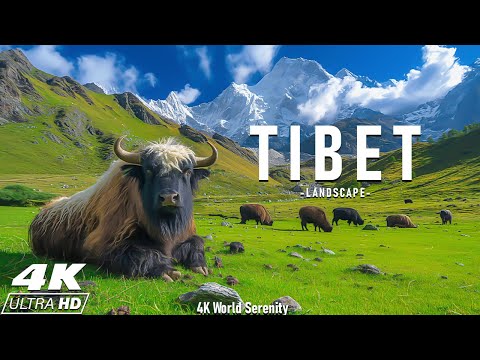 Tibet 4K - Land Of Mountain Peaks - Scenic Relaxation Film With Calming Music || Scenic Film Nature