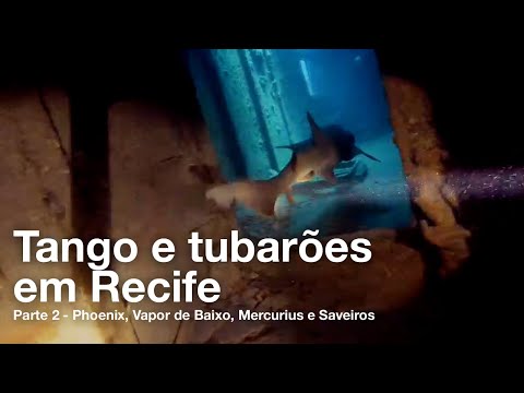 Naufrágios de Recife