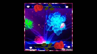 Los Tucanes de Tijuana Siempre Contigo