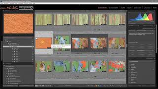 Lightroom Stapelfunktion nutzen.