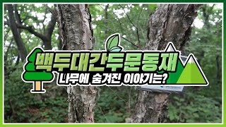 [#랜선여행 떠나기] 백두대간 두문동재에는 어떤 나무들이 있을까?