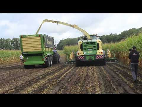 Nová řezačka Krone BiG X 860 sklízí mohutný porost kukuřice na Tiskových dnech