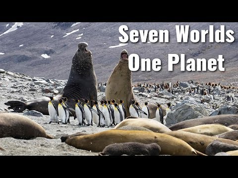 Seven Worlds One Planet Soundtrack Tracklist - Expanded Version | BBC Seven Worlds One Planet