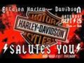 AC/DC Harley Davidson 