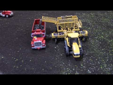 Jacob Larson Sugar Beet Harvest