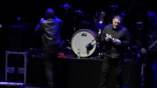 BLACK GRAPE - 9 LIVES