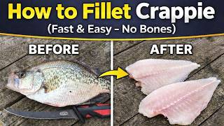 The BEST Way to Fillet Crappie (Step-by-Step Guide)