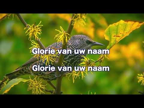 Opwekking 713 Alles wat ik ben 1B