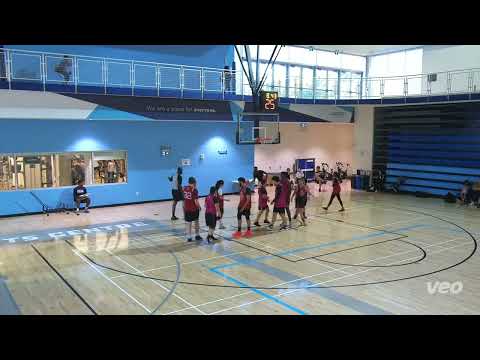 We Showed Up vs TLDR.D - NOW*TCBL COED FINALS - 2022 summer