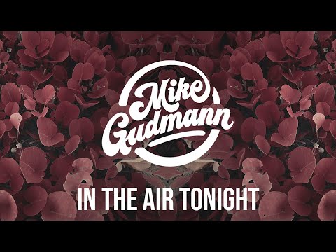 Mike Gudmann, Medon - In The Air Tonight
