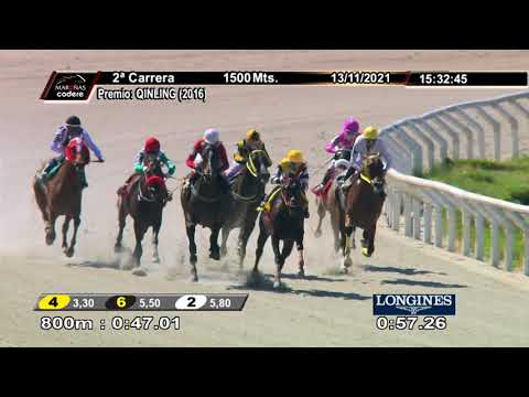 211113 c02 TRAIDORA N