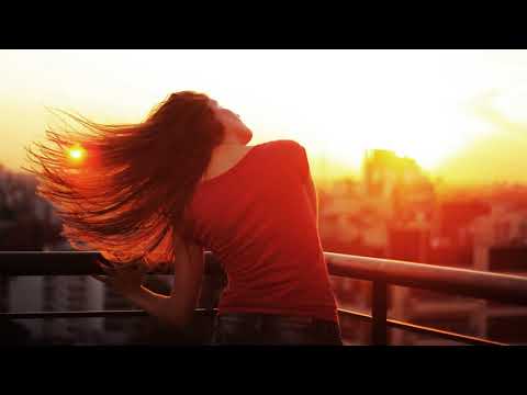 Nolans Stenemberg feat. Angel Falls _ Shelter