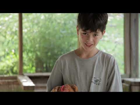 Camp Mondamin for boys Summer Zirconia