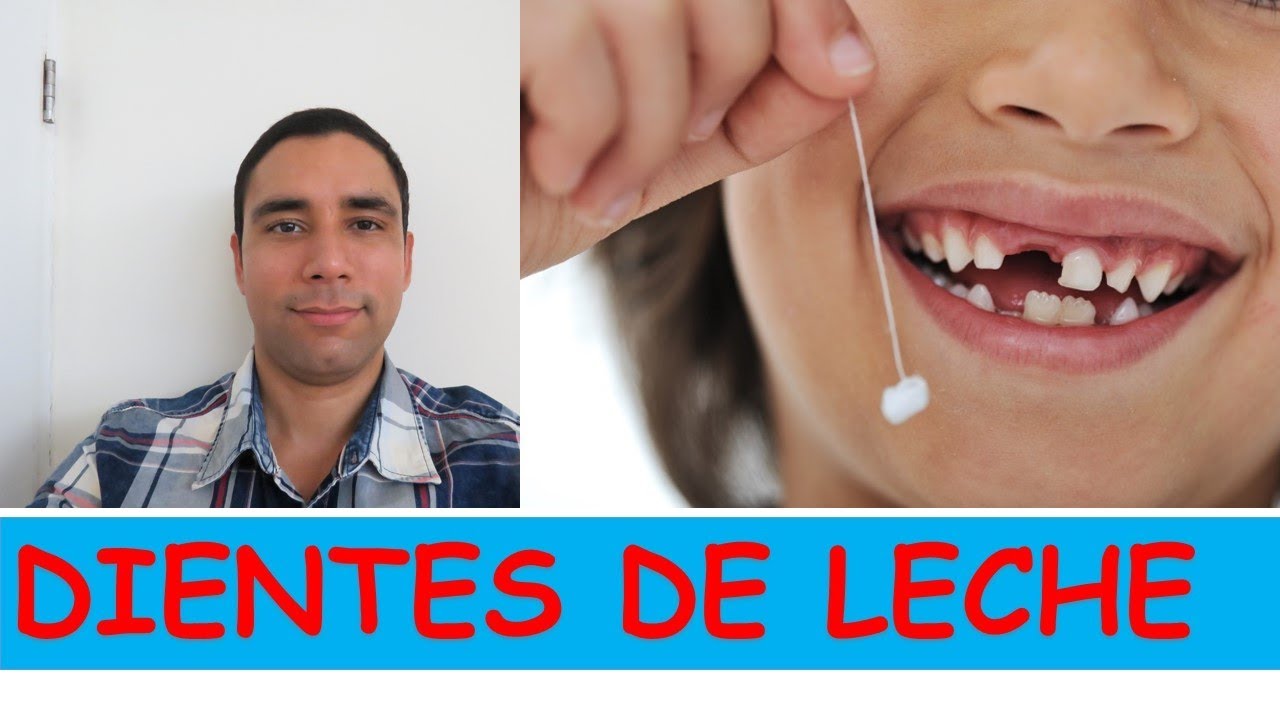 Watch APRENDE SOBRE LOS DIENTES DE LECHE, Son diferentes de los dientes de grande TE EXPLICO! 😜 Video 2 Now APRENDE SOBRE LOS DIENTES DE LECHE, Son diferentes de los dientes de grande TE EXPLICO! 😜 Video 2