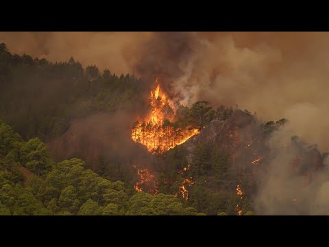 Waldbrand auf Teneriffa außer Kontrolle