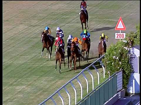 Galoppo 29/06/2018 - 3ª corsa