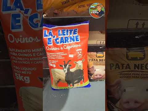 Feira de Animais de Abreu e Lima-PE Sábado: 28/02/26 #omelhordonordestepe #feira #animais #viraliza