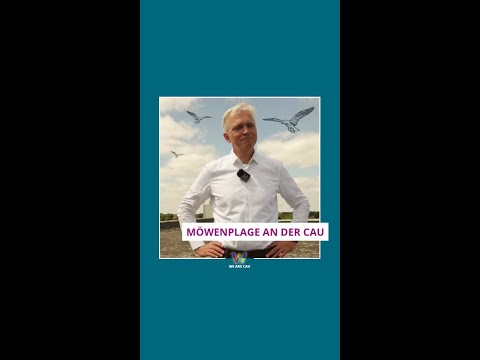 Möwenvergrämungs Video I Uni Kiel I WE ARE CAU