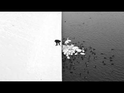 Ved Buens Ende - I Sang for the Swans