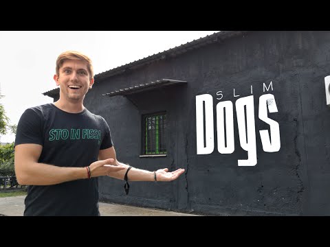 L' ENORME SCRITTA SUL MURO  - Cane Secco