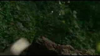 Ain&#39;t Nobody Gonna Tell Me What To Do