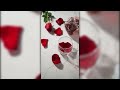 THE DAYS OF WINE🍷AND ROSES🌹THE LETTERMEN