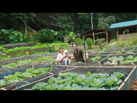 A Day on the Green Farm: Growing Vegetables, Building Bamboo Trellises, and Living Close to Nature