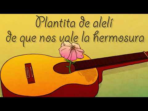 Plantita De Aleli - Kacia Flórez