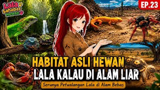 Download lagu If These Animals Lived in the Wild... This Is What Their Homes Would Look Like! mp3