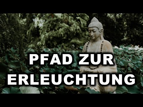 Den Pfad zur Erleuchtung finden: Vergleich mit Buddha