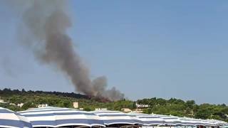 Incendio a Vieste, sgomberate alcune abitazioni. Il rogo visibile dalla spiaggia