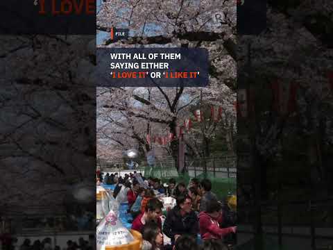 [Between Islands] Filipino Professionals in Japan: Buds before the bloom&nbsp;