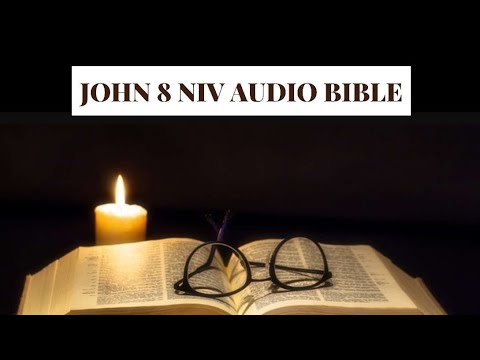 John 8 NIV AUDIO BIBLE(with text)