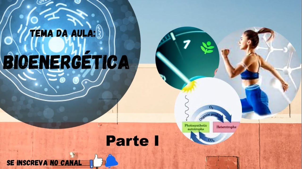 Bioenergética e Introdução ao Metabolismo  #1 (reedição)