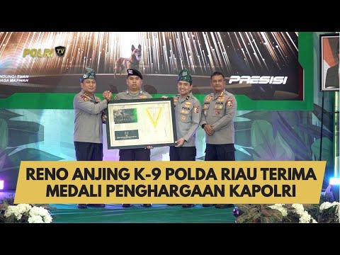 RENO ANJING K-9 POLDA RIAU TERIMA MEDALI PENGHARGAAN KAPOLRI