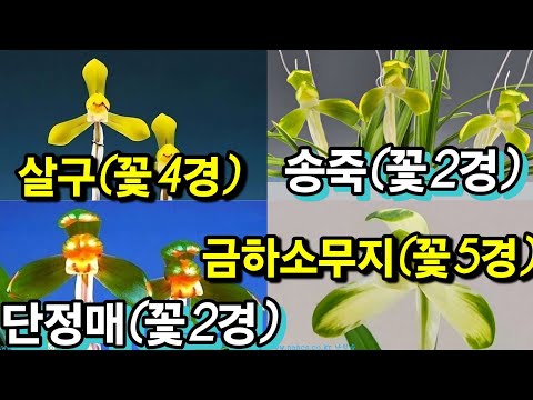 유튜브 썸네일