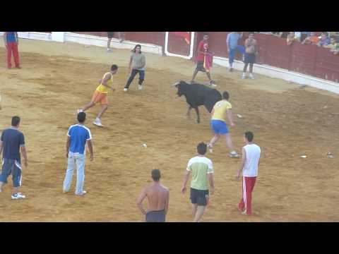 vaquillas de daimiel 5/09/09 part3