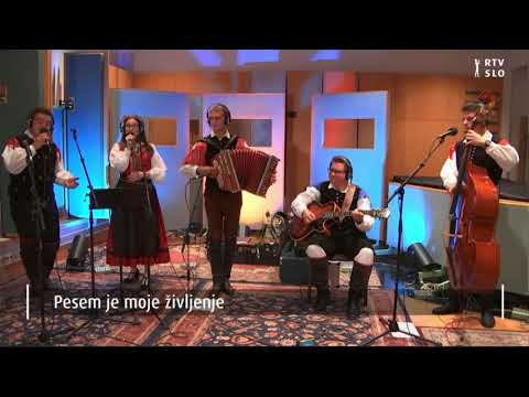 Ansambel Gregorja Kobala - Pesem je moje življenje (Ansambel Franca Miheliča)