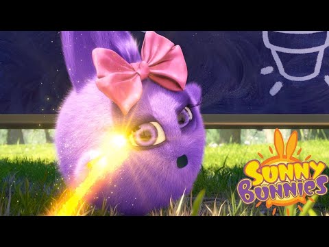 Sunny Bunnies | Escola mágica | Desenhos animados | WildBrain em Português