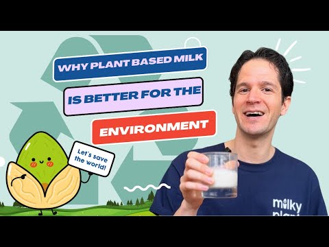 Why Plant Based Milk is Better for the Environment 🥛🌱