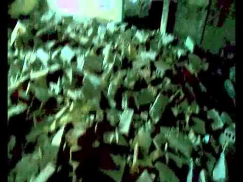 Cichy - Ex love (OFFICIAL VIDEO)